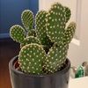 stuffnthings1